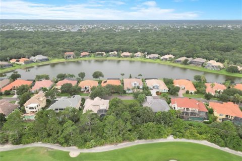 Land in Palm Coast, Florida № 1819329 - photo 14