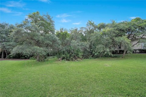 Land in Palm Coast, Florida № 1819329 - photo 4