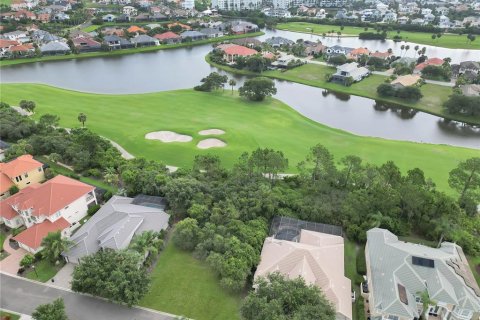 Land in Palm Coast, Florida № 1819329 - photo 8
