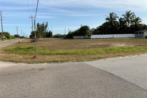 Land in Cape Coral, Florida № 362968 - photo 3