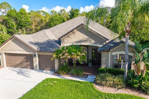 House in Land O' Lakes, Florida 5 bedrooms, 324.32 sq.m. № 2222240 - photo 6