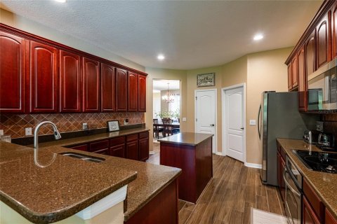 House in Land O' Lakes, Florida 5 bedrooms, 324.32 sq.m. № 2222240 - photo 27