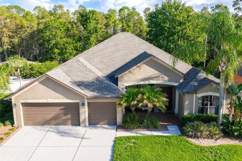 House in Land O' Lakes, Florida 5 bedrooms, 324.32 sq.m. № 2222240 - photo 7