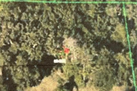 Купить земельный участок в Орландо, Флорида № 1832613 - фото 1