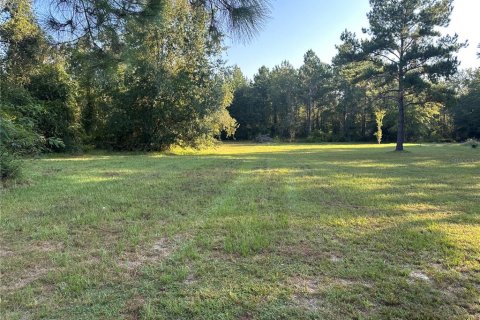 Terreno en venta en Lake Butler, Florida № 1905437 - foto 1