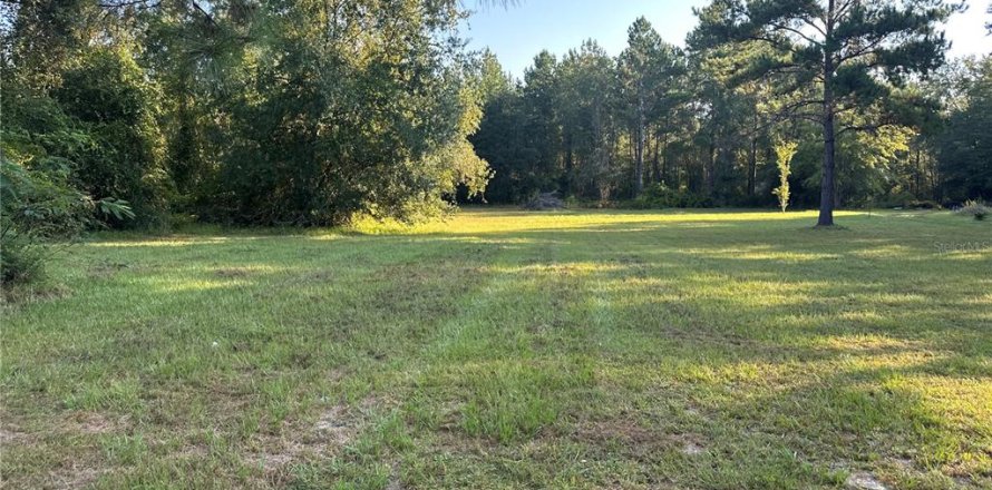 Terreno en Lake Butler, Florida № 1905437