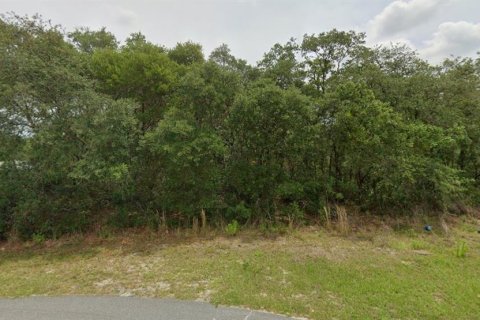 Terrain à vendre à Ocala, Floride № 2206272 - photo 3