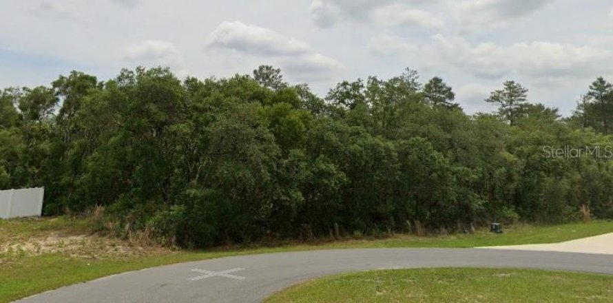 Terrain à Ocala, Floride № 2206272