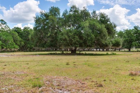 Land in Thonotosassa, Florida № 2166483 - photo 2