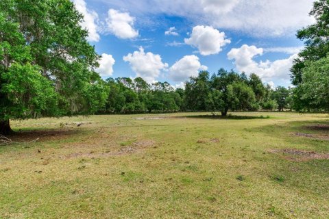 Land in Thonotosassa, Florida № 2166483 - photo 16