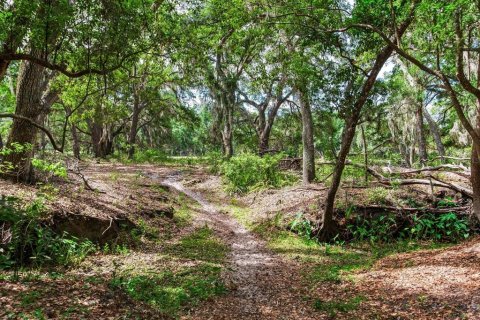 Land in Thonotosassa, Florida № 2166483 - photo 3