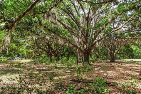 Land in Thonotosassa, Florida № 2166483