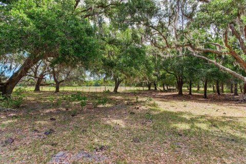 Land in Thonotosassa, Florida № 2166483 - photo 13