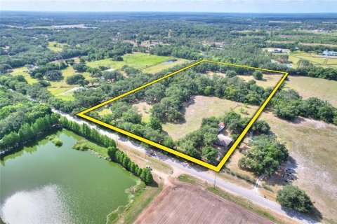 Land in Thonotosassa, Florida № 2166483 - photo 20