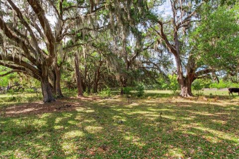 Land in Thonotosassa, Florida № 2166483 - photo 6