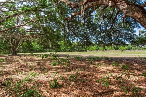 Land in Thonotosassa, Florida № 2166483 - photo 8