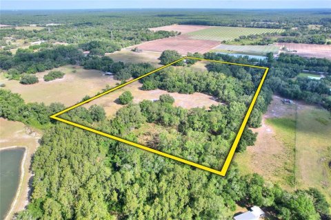 Land in Thonotosassa, Florida № 2166483 - photo 21