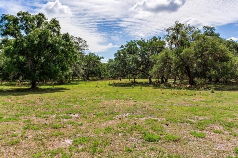 Land in Thonotosassa, Florida № 2166483 - photo 5
