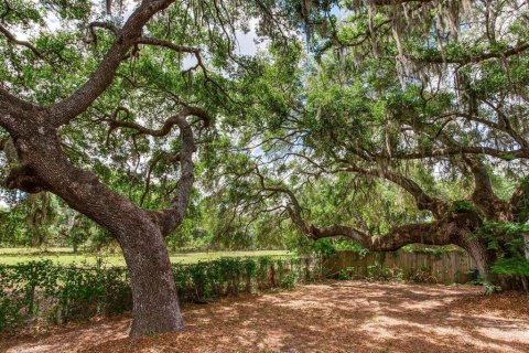 Land in Thonotosassa, Florida № 2166483 - photo 18