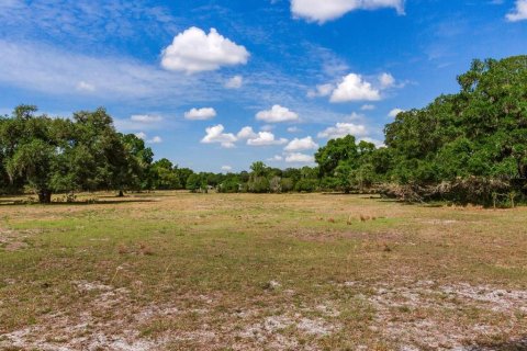 Land in Thonotosassa, Florida № 2166483 - photo 12