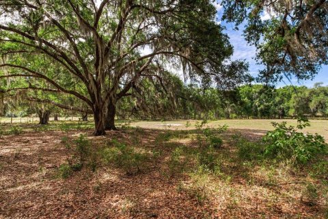 Land in Thonotosassa, Florida № 2166483 - photo 11