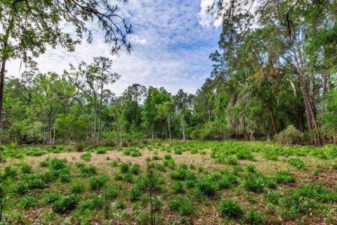 Land in Thonotosassa, Florida № 2166483 - photo 15