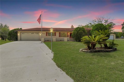 Villa ou maison à Lake Wales, Floride 2 chambres, 154.96 m2 № 2142381