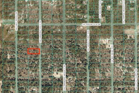 Terrain à Dunnellon, Floride № 2266934