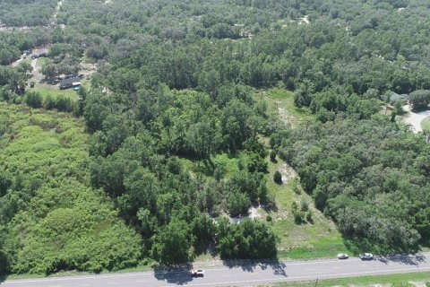 Terrain à vendre à Webster, Floride № 1657113 - photo 21