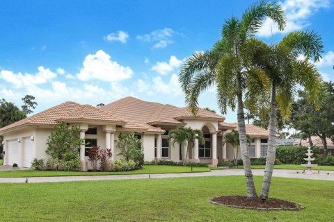 House in West Palm Beach, Florida 4 bedrooms, 389.35 sq.m. № 2247598 - photo 3