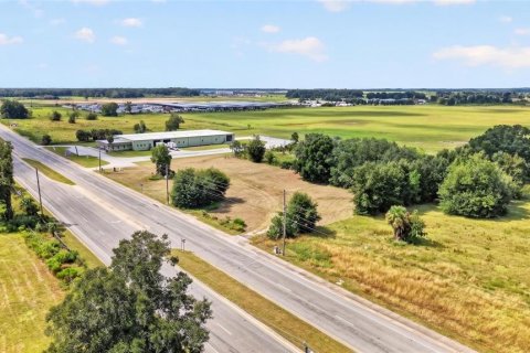 Land in Ocala, Florida № 2391479 - photo 5
