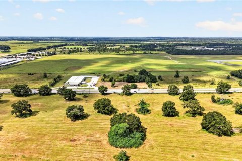 Land in Ocala, Florida № 2391479 - photo 14