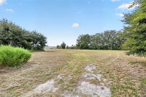 Land in Ocala, Florida № 2391479 - photo 27