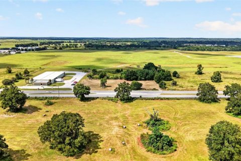 Land in Ocala, Florida № 2391479 - photo 4