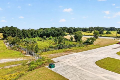 Land in Ocala, Florida № 2391479 - photo 8