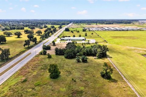 Land in Ocala, Florida № 2391479 - photo 20