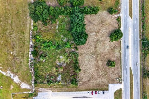 Land in Ocala, Florida № 2391479 - photo 7