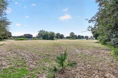 Land in Ocala, Florida № 2391479 - photo 28