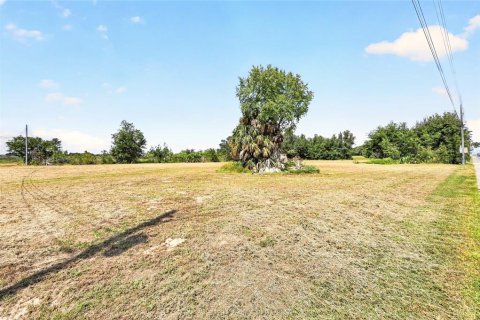 Land in Ocala, Florida № 2391479 - photo 24