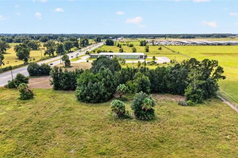 Land in Ocala, Florida № 2391479 - photo 19