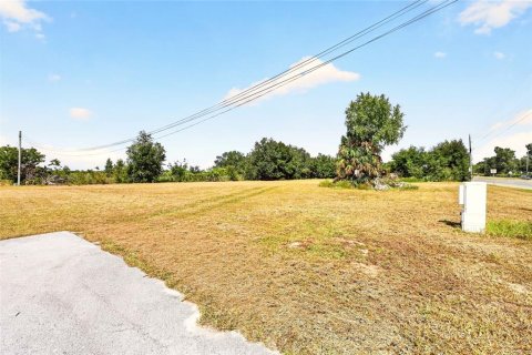 Land in Ocala, Florida № 2391479 - photo 23