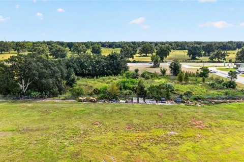 Land in Ocala, Florida № 2391479 - photo 17