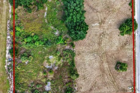Land in Ocala, Florida № 2391479 - photo 6