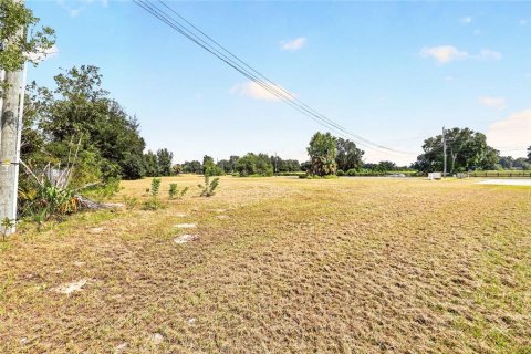 Land in Ocala, Florida № 2391479 - photo 21