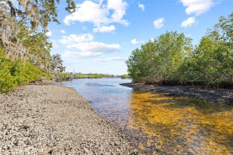 Land in Ruskin, Florida № 1561229 - photo 18