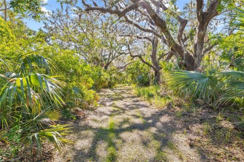 Land in Ruskin, Florida № 1561229 - photo 16