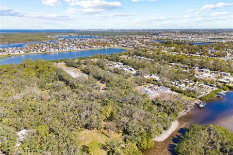 Land in Ruskin, Florida № 1561229 - photo 8
