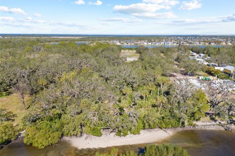 Land in Ruskin, Florida № 1561229 - photo 14