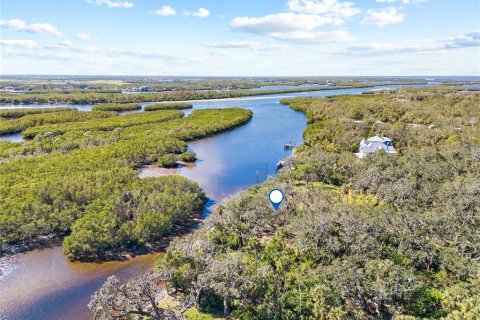 Land in Ruskin, Florida № 1561229 - photo 29