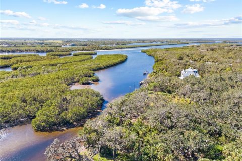 Land in Ruskin, Florida № 1561229 - photo 12